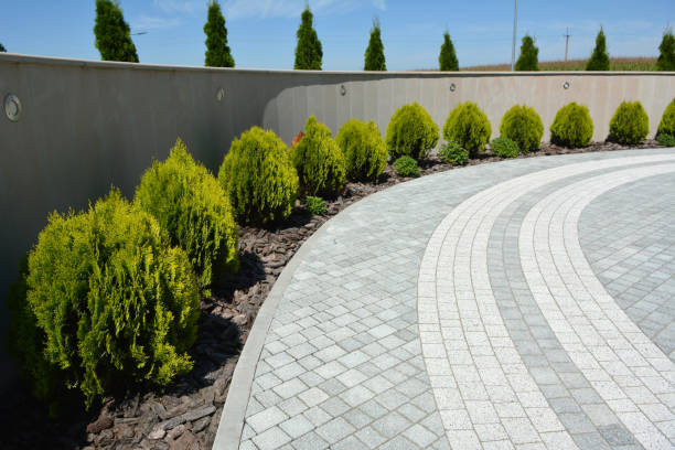 Best Driveway Resurfacing Services in Sheridan, IL